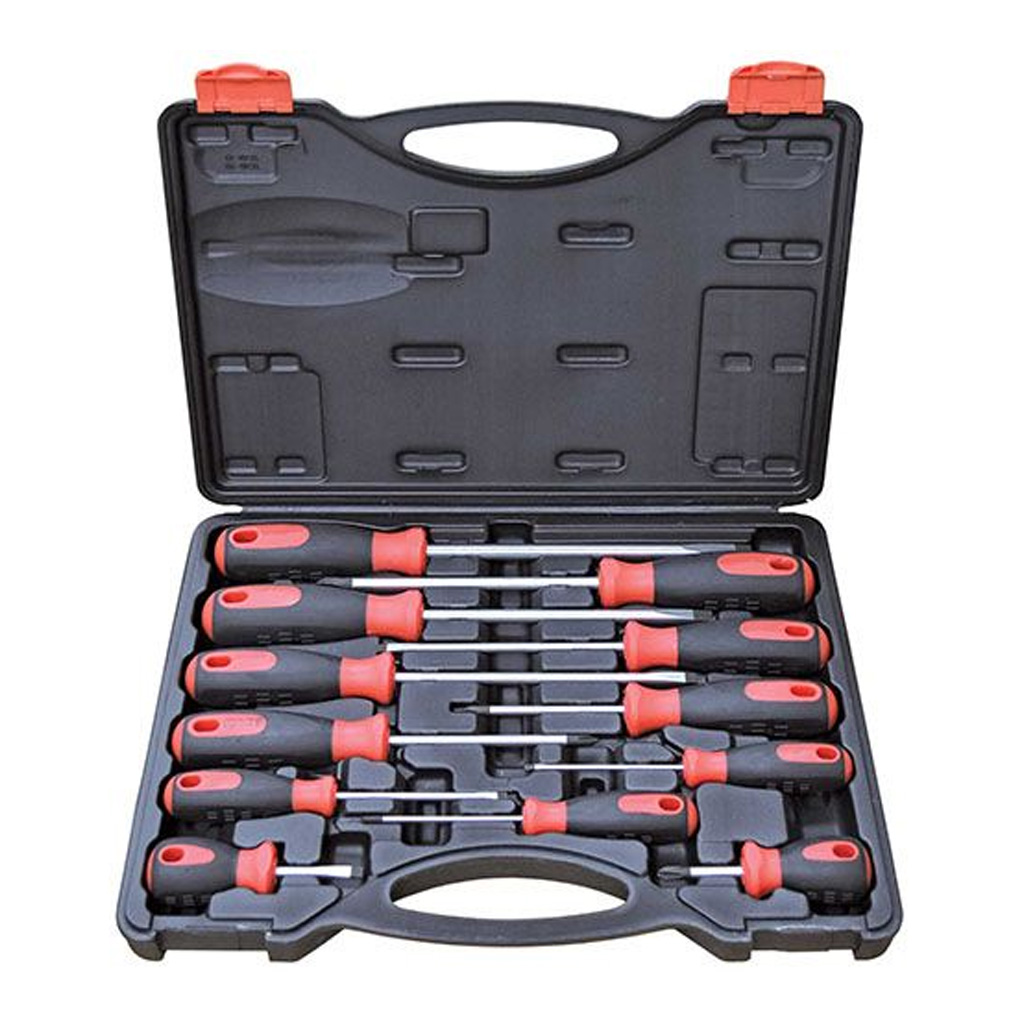 Screwdriver Phillips & Blade Set